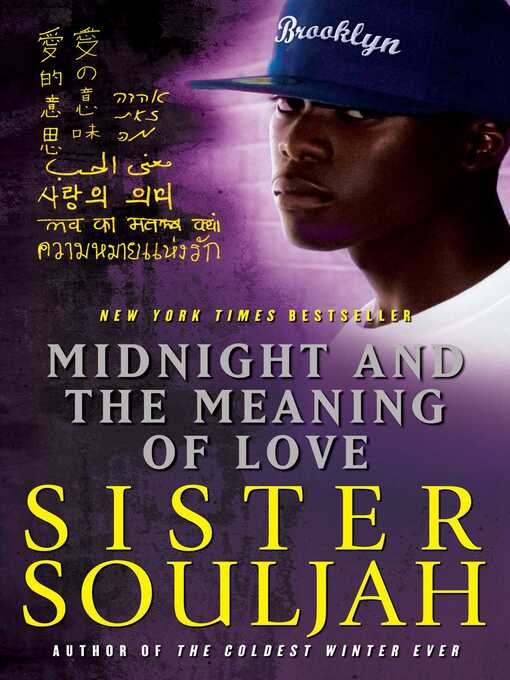 Cover image for Midnight and the Meaning of Love